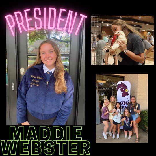 James E. Taylor FFA tweet media