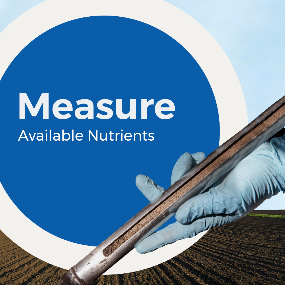 CorvianLabs's tweet photo. With #soiltesting, you can measure the available nutrients for #fertilizer applications, helping #farmers maximize ROI. 

Curious to see how #soilsampling and variable rate technology can save time and money on your farm? Learn more here: https://t.co/XBckusT9hH https://t.co/gScKb9siab