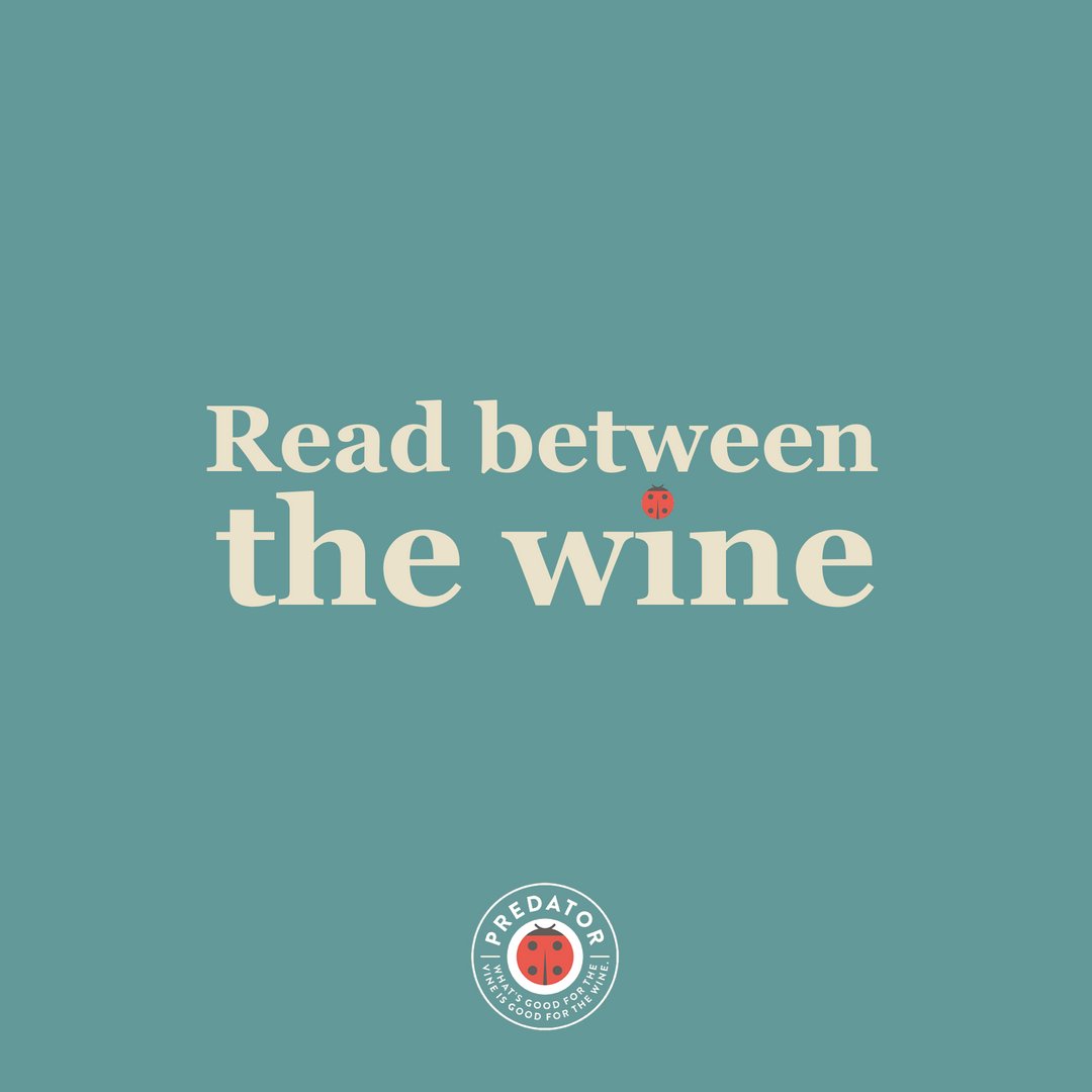 PredatorWines's tweet photo. Wine, because it’s not good to keep things bottled up.🍷 https://t.co/nYBKisZQW7