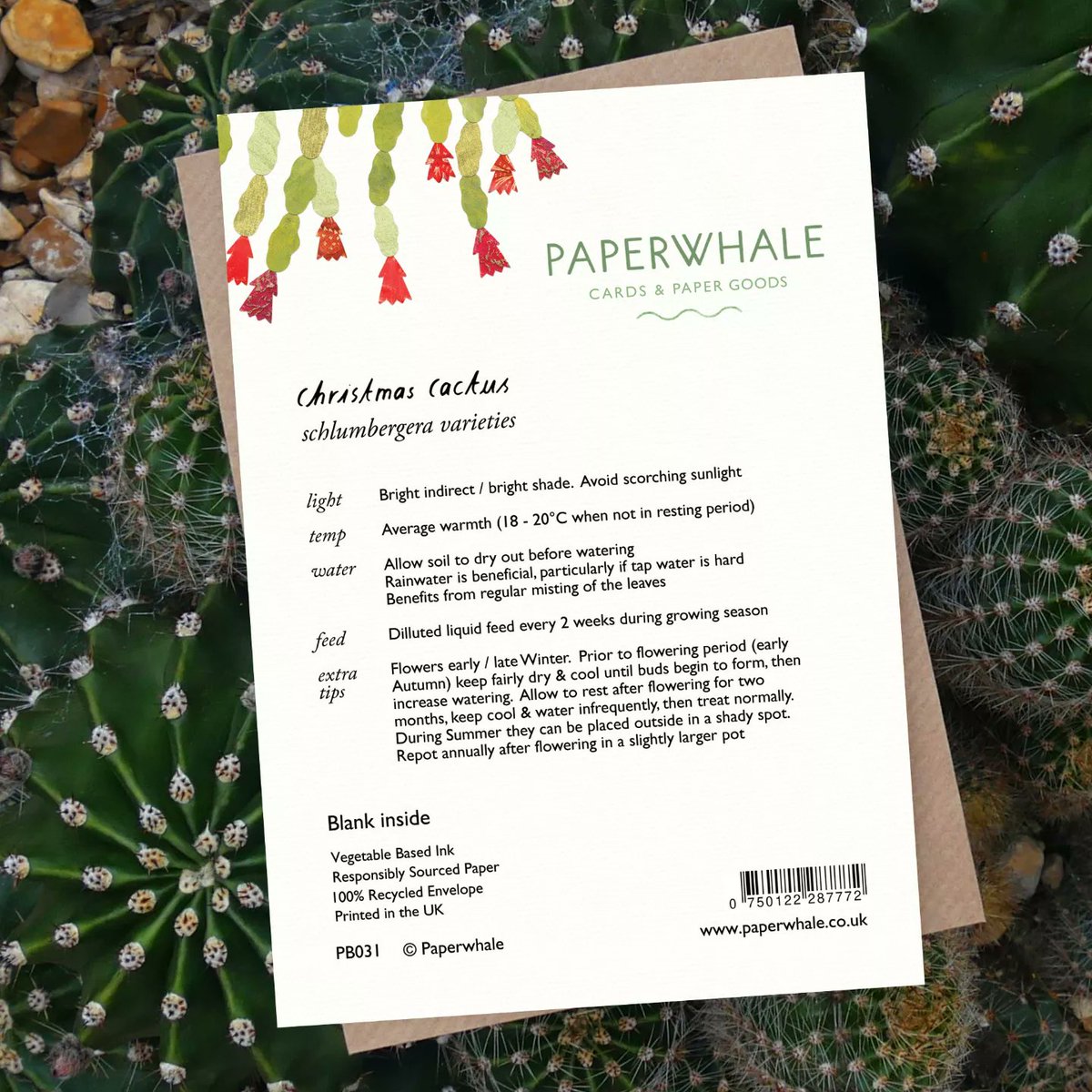 🌺🌵 Say hello to the newest addition to the Botanics collection, the beautiful flowering Christmas Cactus 🌺🌵 All cards in this collection have individual plant care tips on the reverse. Available now in our online shop and for our lovely stockists www.paperwhalecards.etsy
com