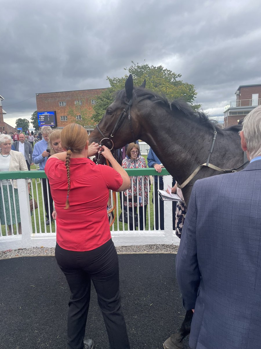 TheHorsesMout15's tweet image. Shares are selling fast in Desert Cat after her 3rd place in a very competitive handicap at Thirsk Racecourse. thehorsesmouthracingclub.co.uk/buy-a-share/de… #thirskraces #racing