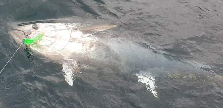 Byron Way tweet media