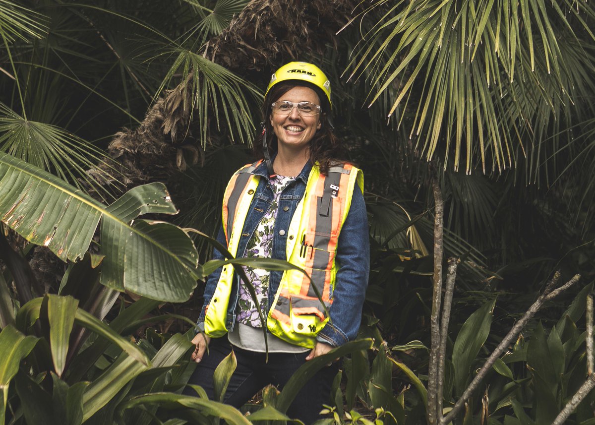 DisneyParks's tweet image. 🌳🌲🌱 @Disneyland cast member, Rhonda Wood speaks for the trees! Learn how her team's vision came to life during #D23Expo with the launch of a new innovative way in which we are upcycling the resort's end-of-life trees: spr.ly/6017MPFkt