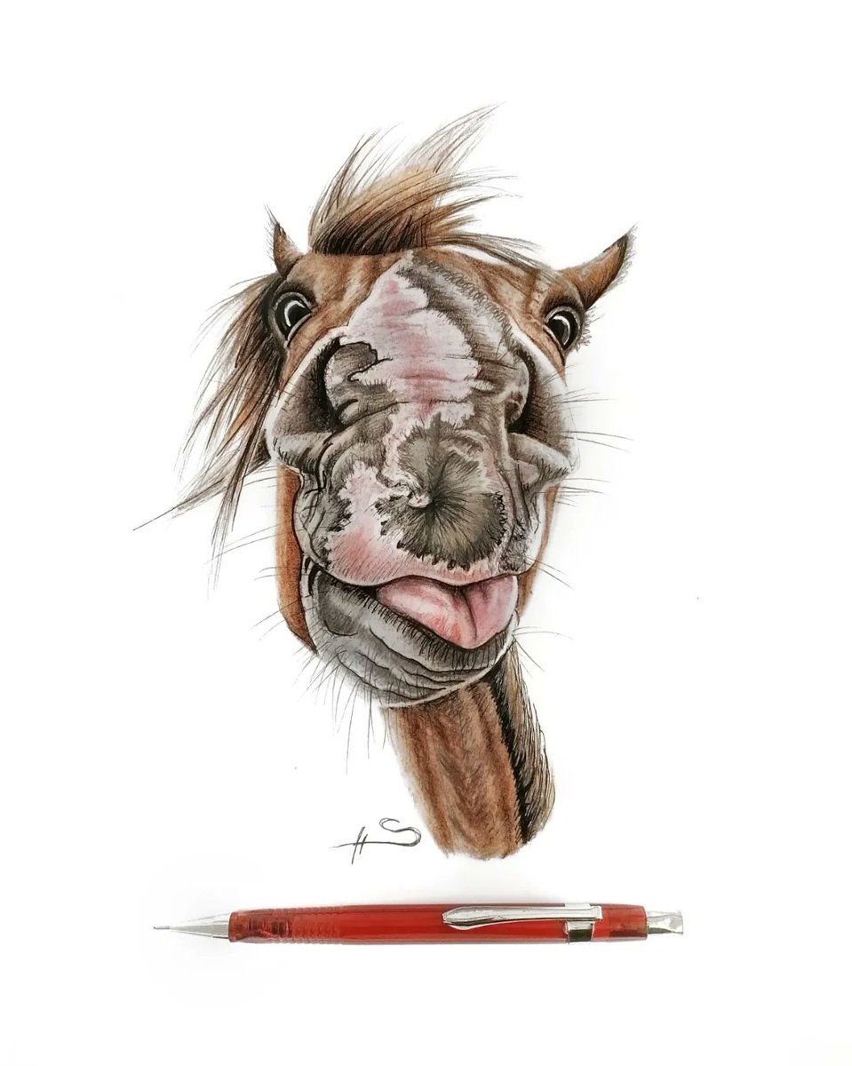 Hü 😉
#berlin #artist #art #pencilartist #Pencildrawing #pencilsketch #adorable #cute #sketch #Sketching #sketchbook #painting #horse #animals #portraitart #portrait #chestnut #hazelnut #pferd