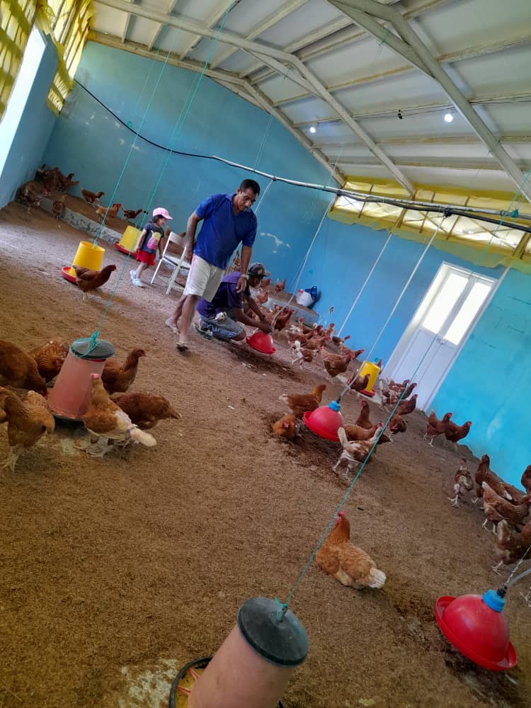 Zonaeducadelor1's tweet photo. #LaPazNosUne
#DeltaAmacuro  @FannyG45 Desde  ETA"Tucupita" Mcpio Tucupita,
agradecemos convenio del Presidente @NicolasMaduro  @_LaAvanzadora  @MPPEDUCACION con @FAO_Venezuela recibimos insumos y aves para fortalecer nuestro galpón avícola @RosangelaOrozco https://t.co/wZHEPSkQeP