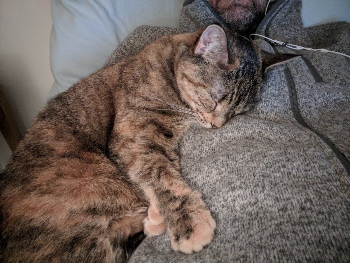 greghendershott's tweet photo. RIP Cleo. You were so full of love. Saying goodbye hurts so much. https://t.co/XQwwnhQWXc