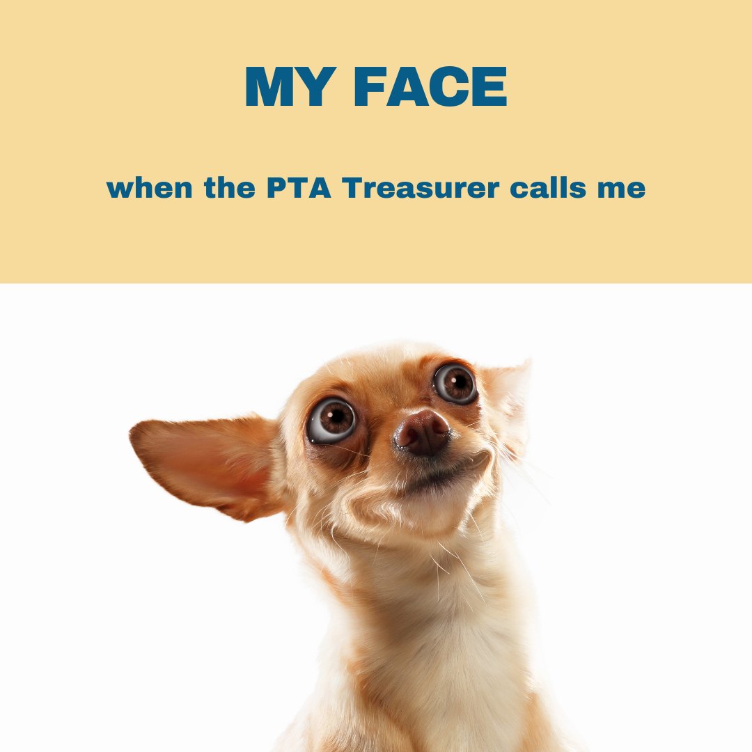 Just a friendly reminder to our LISD PTA Presidents and Treasurers, Council dues must be paid in order to have a vote at our delegate meeting on Wednesday. If you haven't already mailed it, please bring a check with you to the meeting. Dues info: lisdptacouncil.com/about/council-…