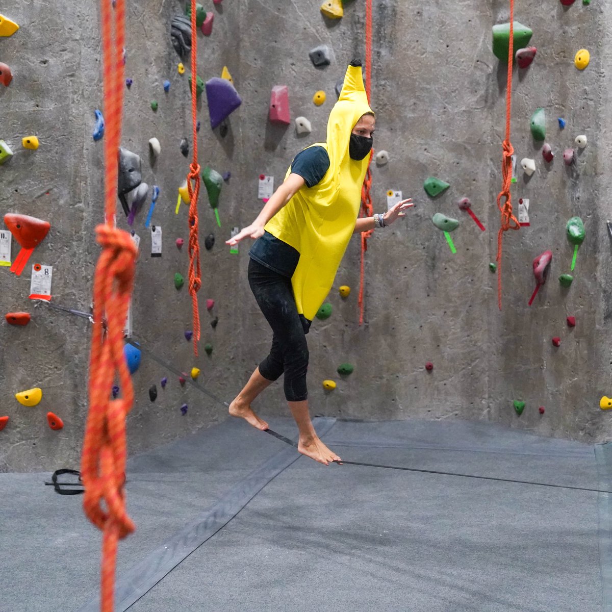 ClimbRockClub's tweet photo. Join us for another Women's Night this Wed, Sep 14th! We're looking forward to starting off the night with Slacklining 101 and hanging out/ climbing with an awesome group of ladies 💪 #therockclub #climb #newrochelle #womensnight https://t.co/yzJP32uSmL