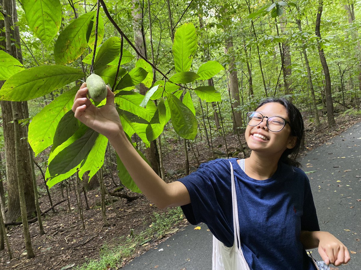 MadeiraScience's tweet photo. The #MadieraScience Field Ecology class has had its first two field days. We made our first field journal entry and identified native trees- we even got to pick some #pawpaw fruit! https://t.co/HlfADVq6Fe