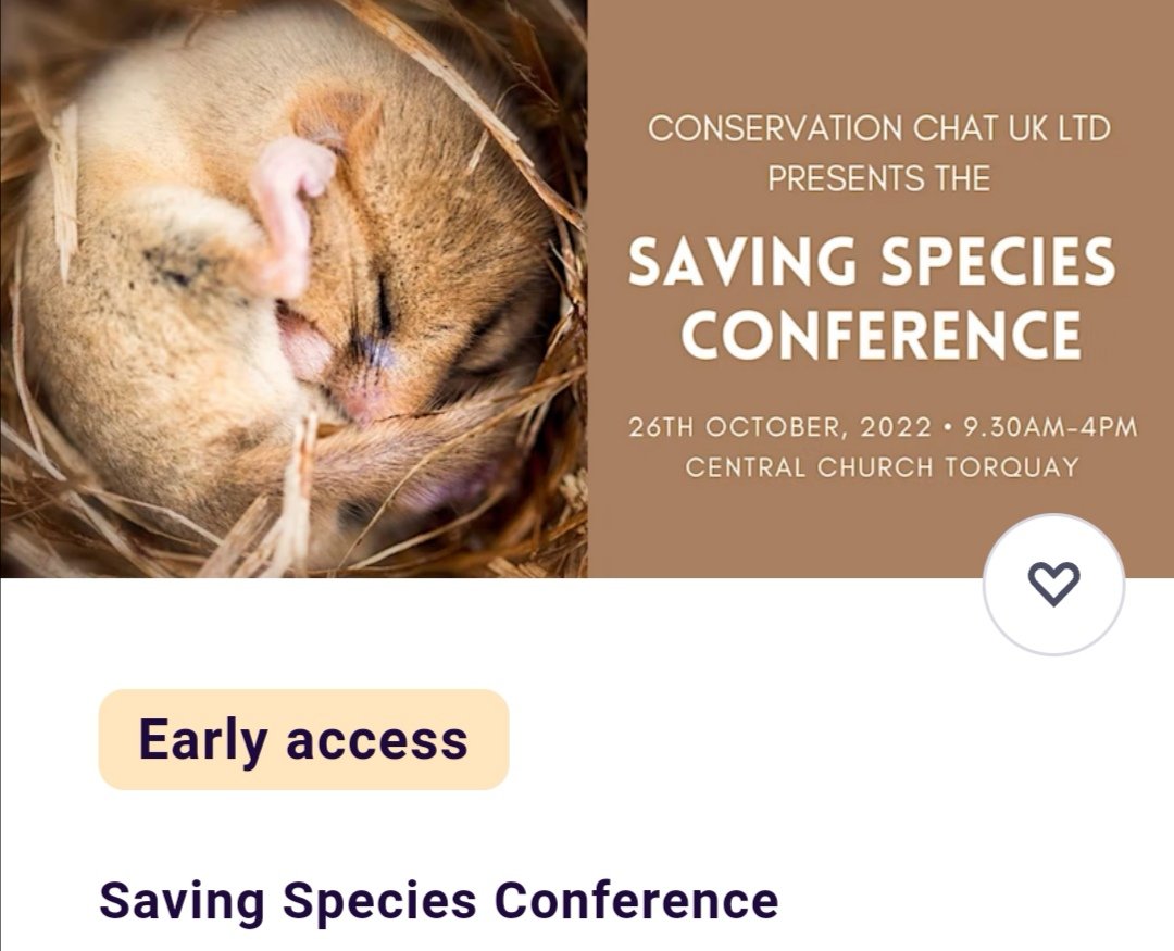 ConChatUK's tweet photo. Join us in #Torquay this October for a full day conference that focuses on Saving #Species. We have some great speakers lined up and more to be announced soon. #nature #ecology #events #conservation
#conservationchatuk #boosttorbay
https://t.co/yH3fgVopiA https://t.co/uAEcMwLb7c