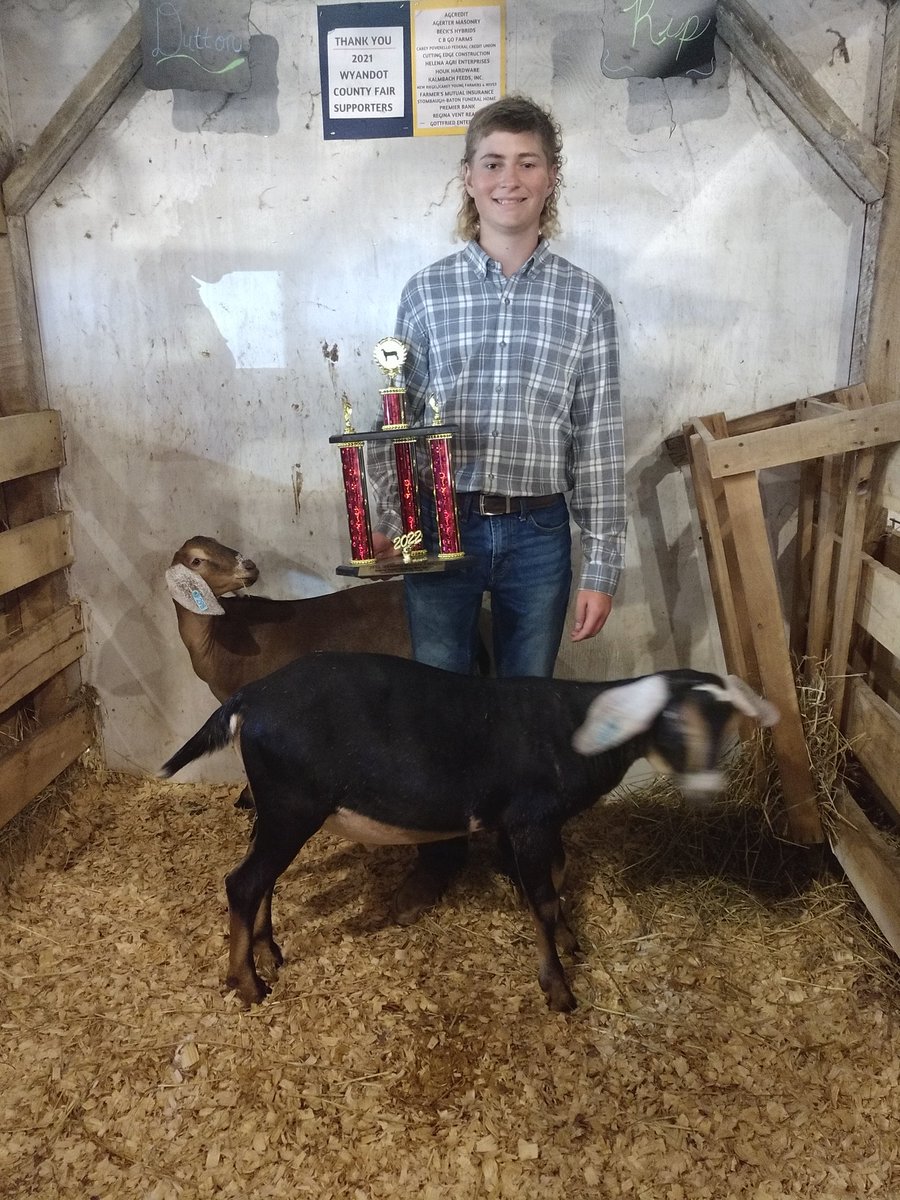 Vaughn wins Grand Champion Market Dairy Goat!