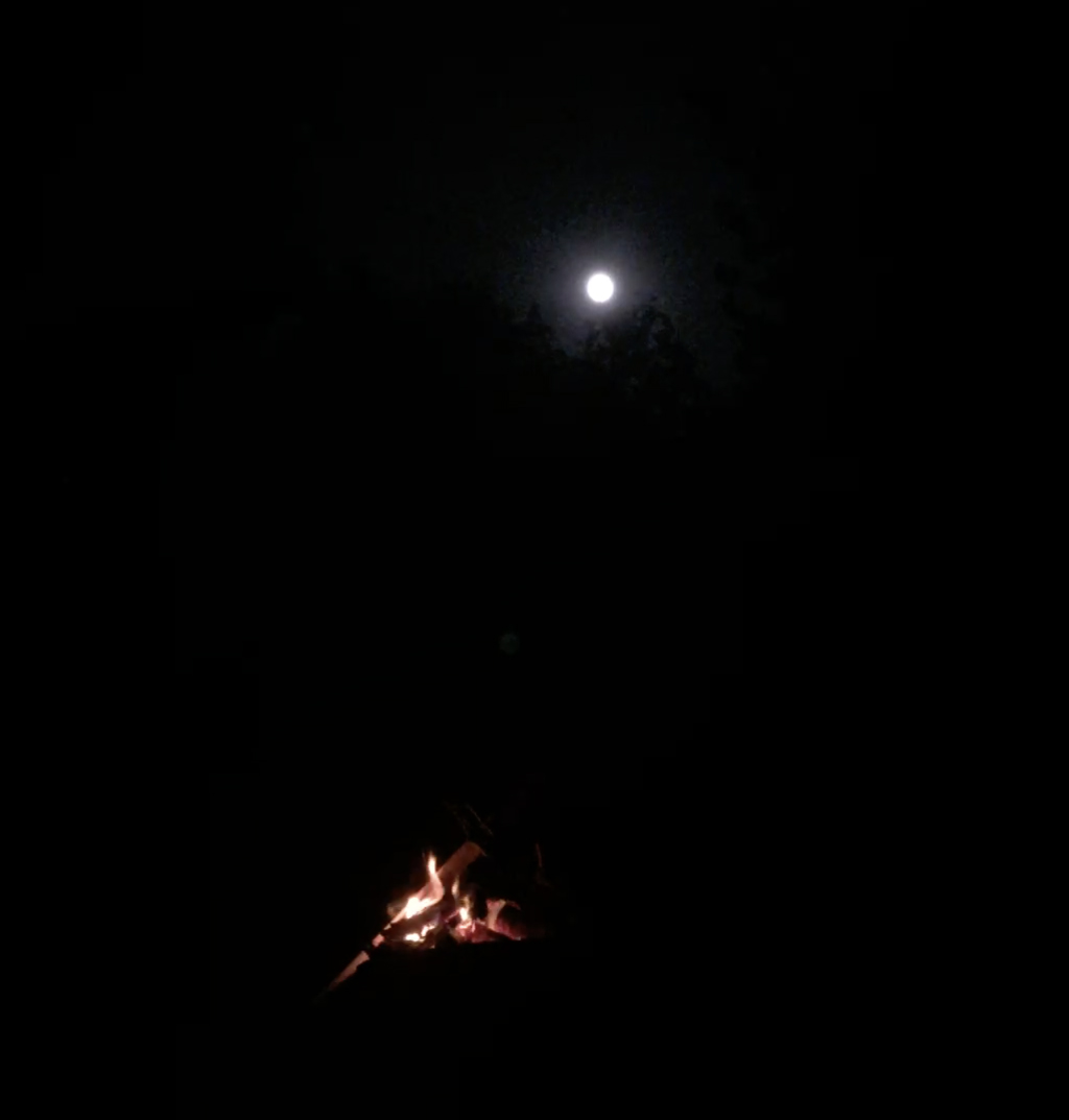 Harvest Moon.