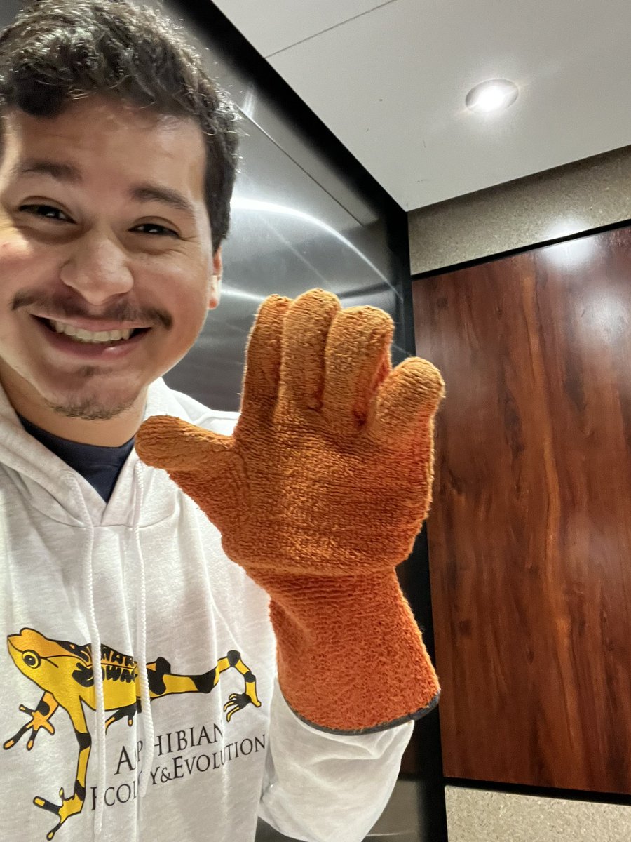 Jason Aguirre tweet media