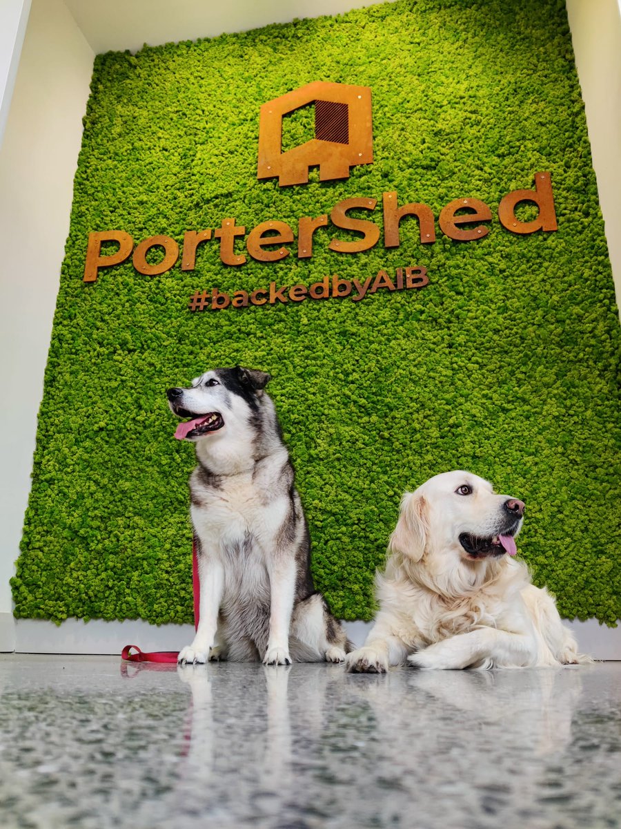 Our <a href="/paintclubHQ/">Paintclub</a> doggos Harley &amp; Luna posing for <a href="/portershed/">PorterShed</a> #charity coffee morning in aid of their skydive for <a href="/irishguidedogs/">Irish Guide Dogs for the Blind</a> tomorrow. Our very own <a href="/AislingoWest/">Aisling Burke</a> is jumping, donate here &amp; be in to win a pet portrait of your pet! gofundme.com/f/aislings-sky…
 #irishguidedogs