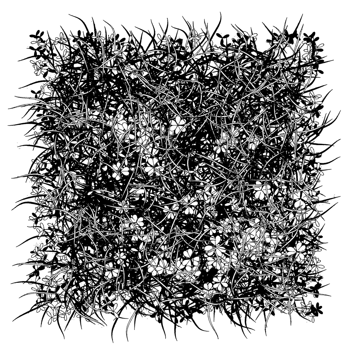 r1b2art's tweet photo. Exploring variations and tweaking randomness... That one should be ready to drop soon on #fxhash
#natureart #p5js #tezoscollectors #tezoscommunity #inkdrawing #generativeart https://t.co/EJZgf7qYms