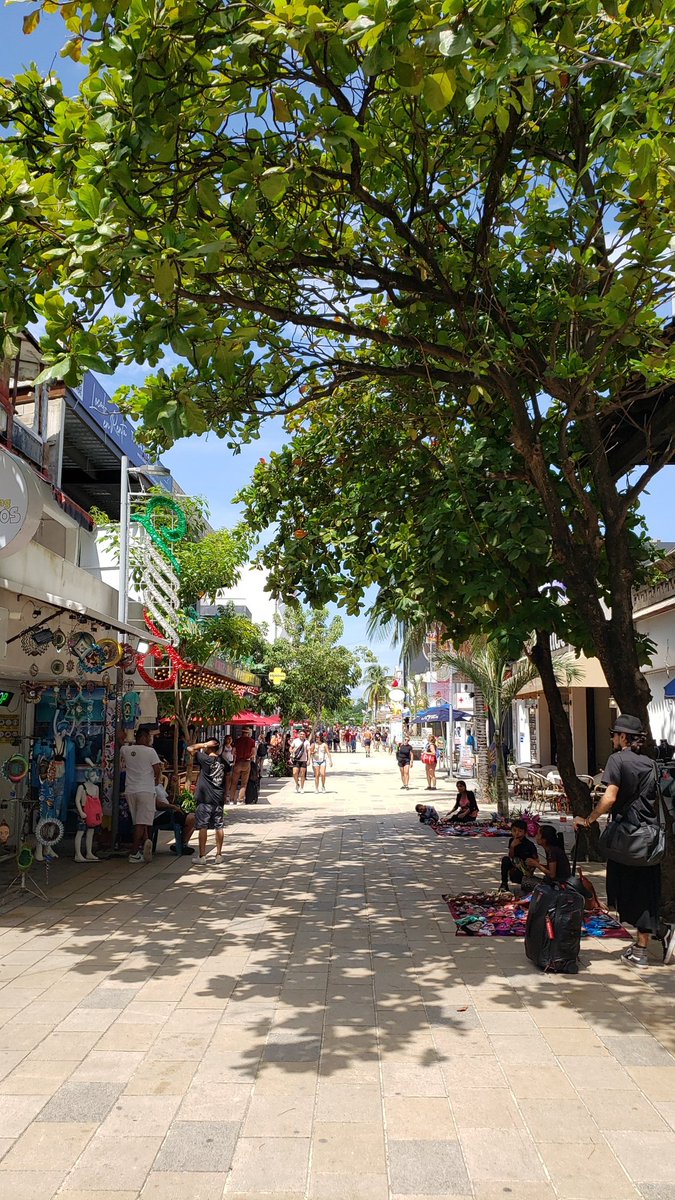 JorgePiGtz's tweet photo. De paseo #single #sw #pdc #swpdc #corneador #PlayadelCarmen https://t.co/wwGFP9Kto9