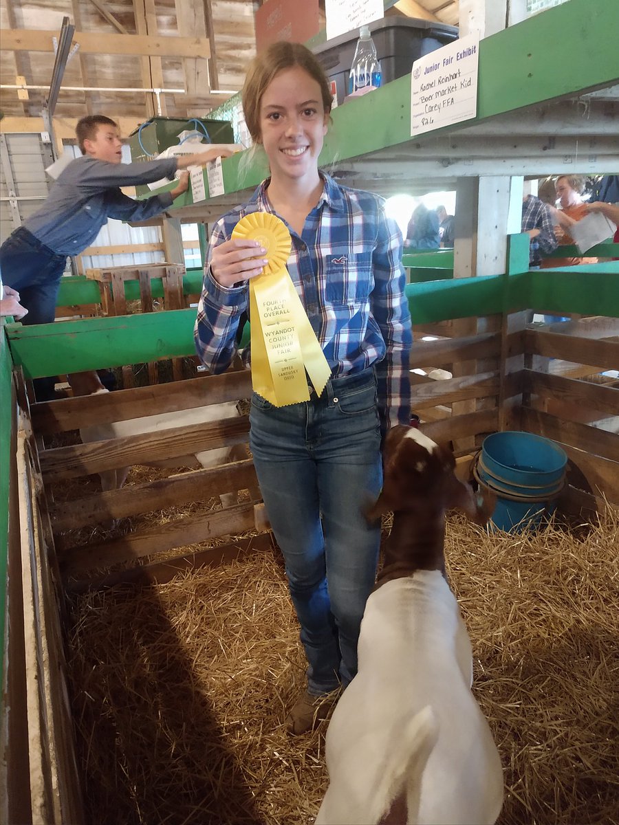 Rachel earns 4th overall boer goat!