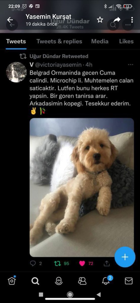 Oğlum Kaju kayıp,paylaşarak bana yardımcı olun lütfen.6 gün oldu bulamıyoruz.Gören-duyan haber versin 05398679428