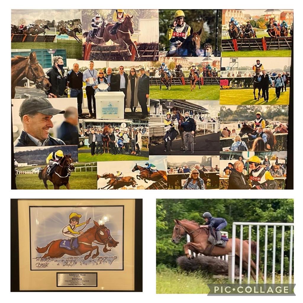 sue_howell14's tweet photo. Kilchreest Moon aka Alfie is now gracefully retired, sound, happy and a winner of his last race. Winner of 4 hurdle races &amp; 1 chase. Big thanks to ⁦@HJOliverRacing⁩, ⁦@NickScholfield1⁩, ⁦@e17wds⁩. 
#ROR   #Happyhacking #AlfieMoon https://t.co/GdABbStaR8