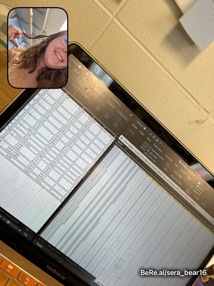 GroverSera's tweet photo. #BeReal has really highlighted to me how many hours I spend working on data transcription, data organization, and data analysis. https://t.co/TYY09cfQ59