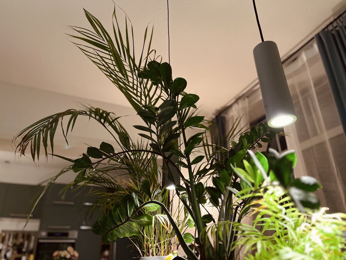 boardflow's tweet image. Zuhause ist’s schön 🌿🌱🪴