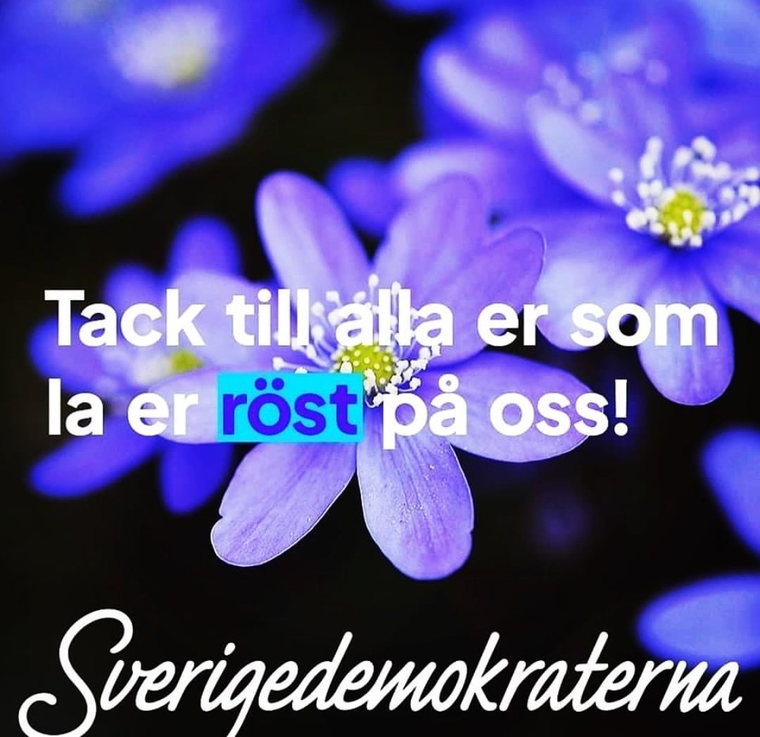 MartinaLundqui1's tweet photo. #SD22 #SD2022 #sdgbg #sdriks #sdvgr #Sverigedemokraterna #sdkvinnor #val2022 #valet22 #valet2022 https://t.co/86iXxgWR8c