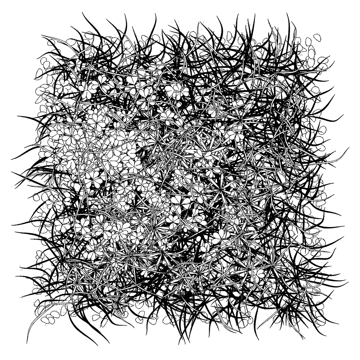 r1b2art's tweet photo. Exploring variations and tweaking randomness... That one should be ready to drop soon on #fxhash
#natureart #p5js #tezoscollectors #tezoscommunity #inkdrawing #generativeart https://t.co/EJZgf7qYms
