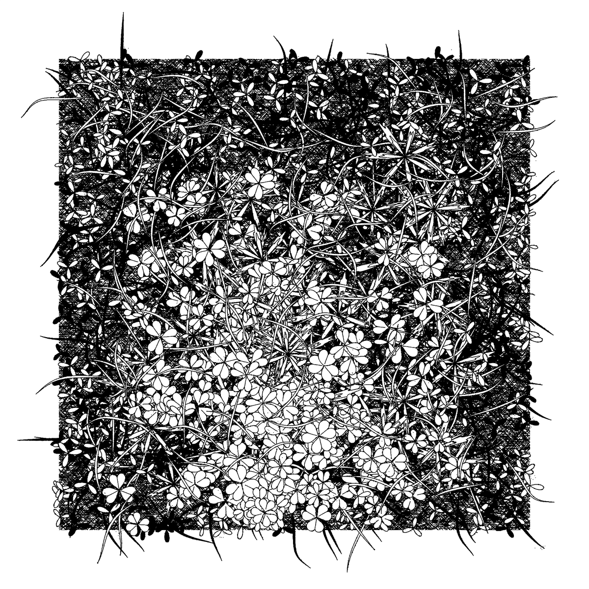 r1b2art's tweet photo. Exploring variations and tweaking randomness... That one should be ready to drop soon on #fxhash
#natureart #p5js #tezoscollectors #tezoscommunity #inkdrawing #generativeart https://t.co/EJZgf7qYms