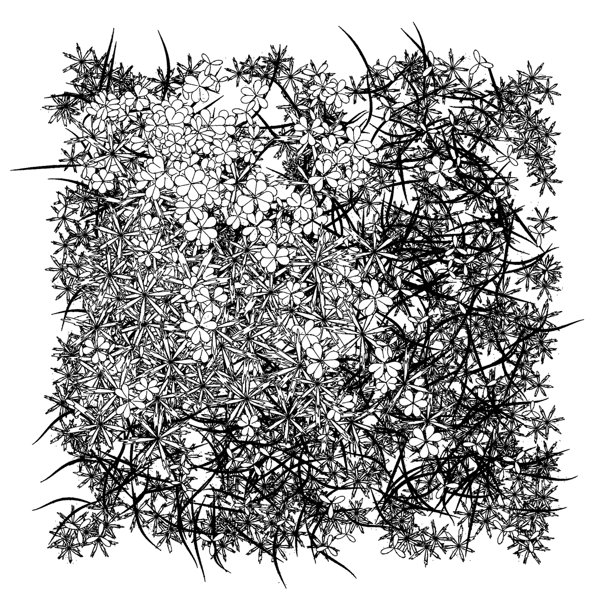r1b2art's tweet photo. Exploring variations and tweaking randomness... That one should be ready to drop soon on #fxhash
#natureart #p5js #tezoscollectors #tezoscommunity #inkdrawing #generativeart https://t.co/EJZgf7qYms