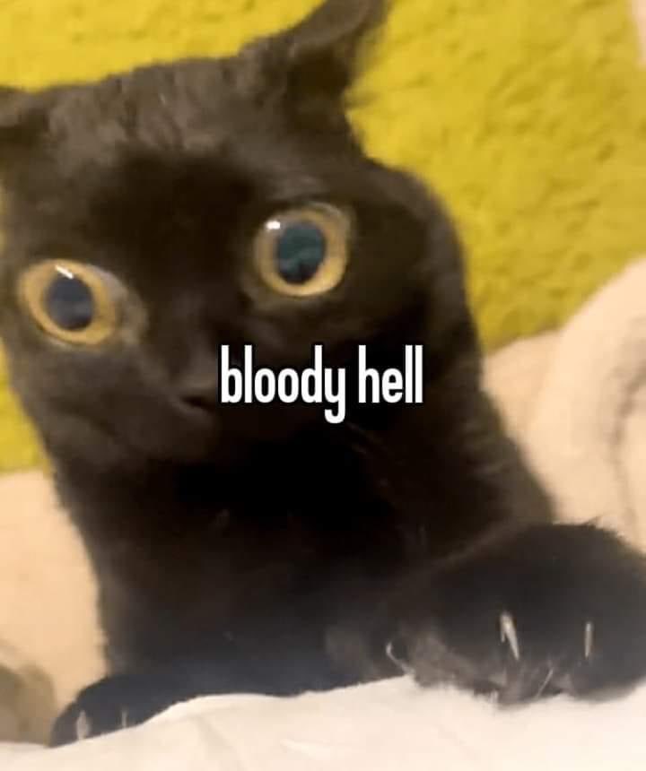 ㅤ