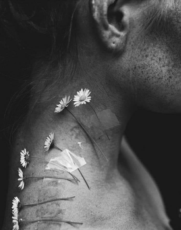 laina_laii's tweet photo. Kapına yarım bir yüz bırakıyorum
Yarım bir hikaye,
Geç kalmış bir tanışma, Erken gelmiş bir veda.
Yarım bir çiçek, yarım bir ağrı..
Kapına tamamlanmamış bir masal bırakıyorum
Bir gün bir başkasıyla tamamlarsın diye.🖤 https://t.co/PRMCC9PPp2