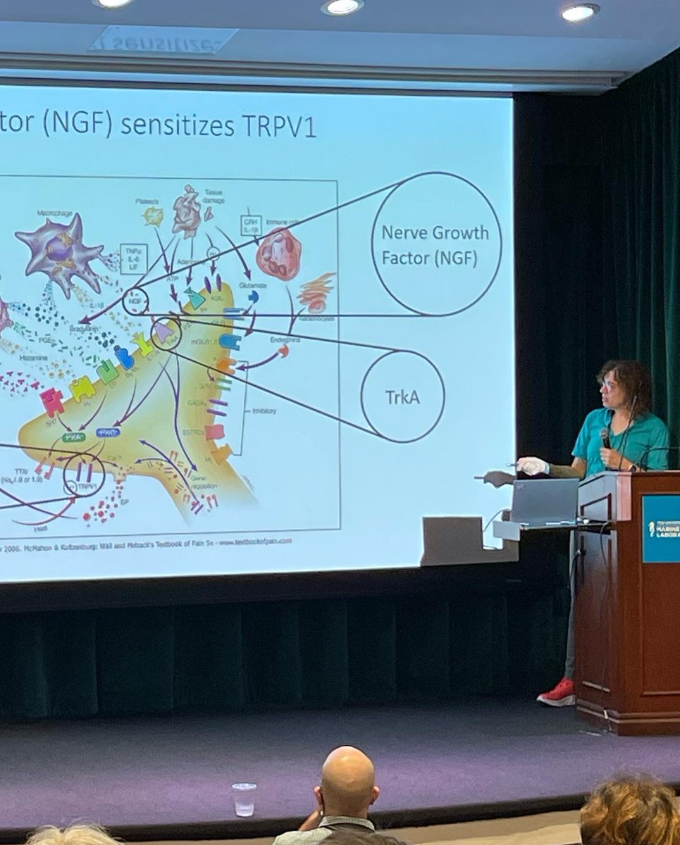 jessehuang25's tweet photo. I am extremely grateful to have experienced a wonderful week of science at my very first conference @sgpweb #sgp2022. I learned a lot from experts in my field, make new valuable connections, and even got hands on experience on doing a stressful poster presentation! https://t.co/VM8BALCb7O