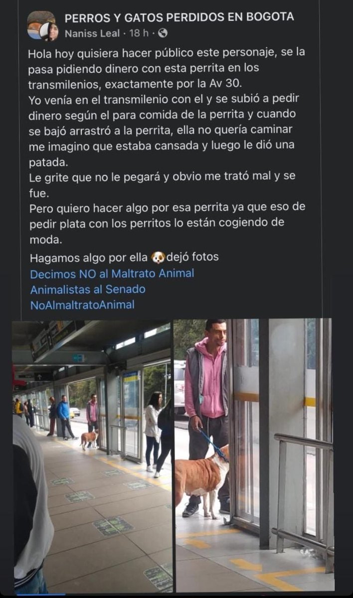 qvamparo's tweet photo. 🆘🙏🏻🚨🆘🙏🏻🚨Ayudemos para que las Autoridades de Transporte le Quiten el Animal a este MALTRATADOR🙏🏻🆘🚨RT🙏🏻🆘🚨 https://t.co/FKEN20ezi8