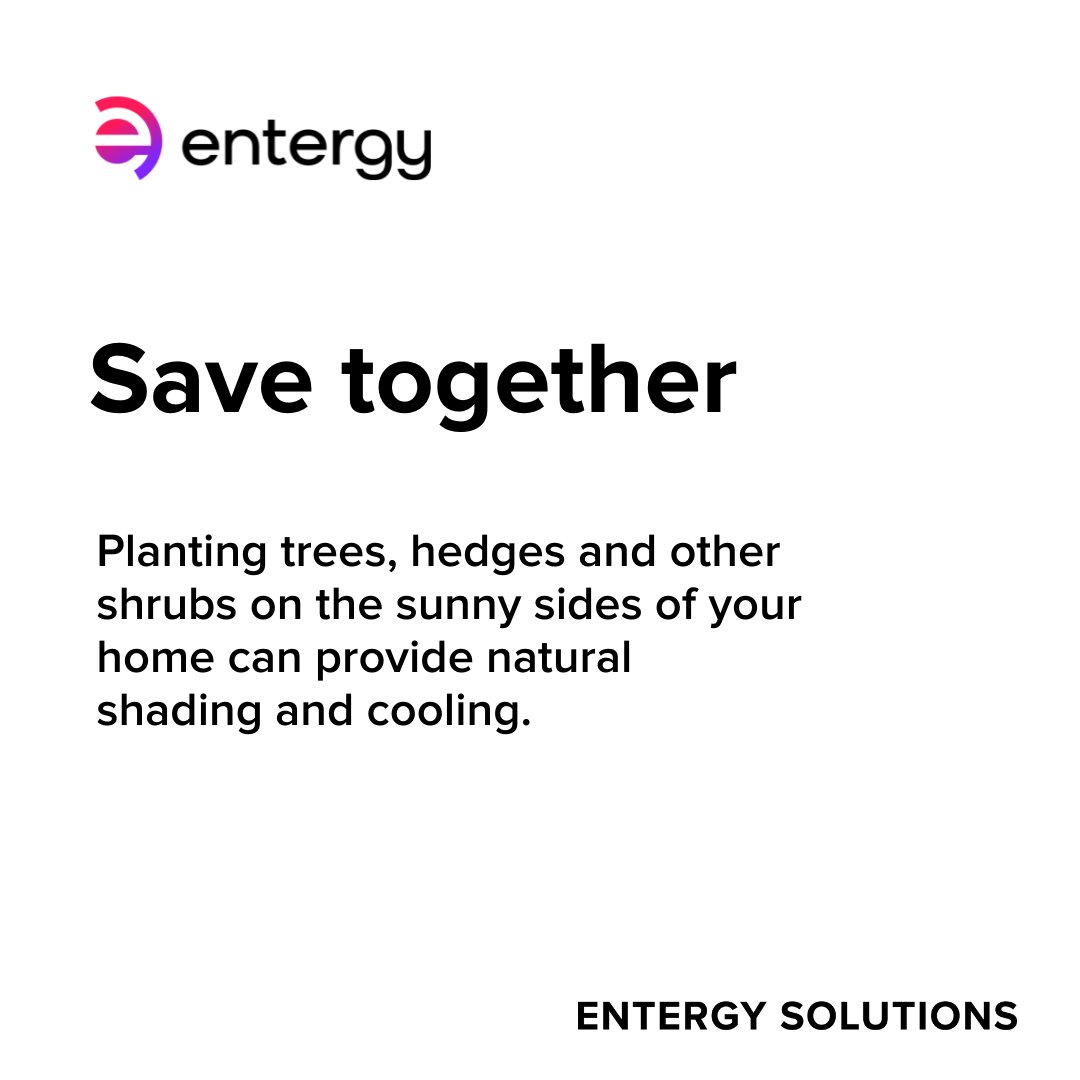Plant together to save together. Family moments, small and large, matter to us. We want to help create memories for you and your family while helping you save energy.