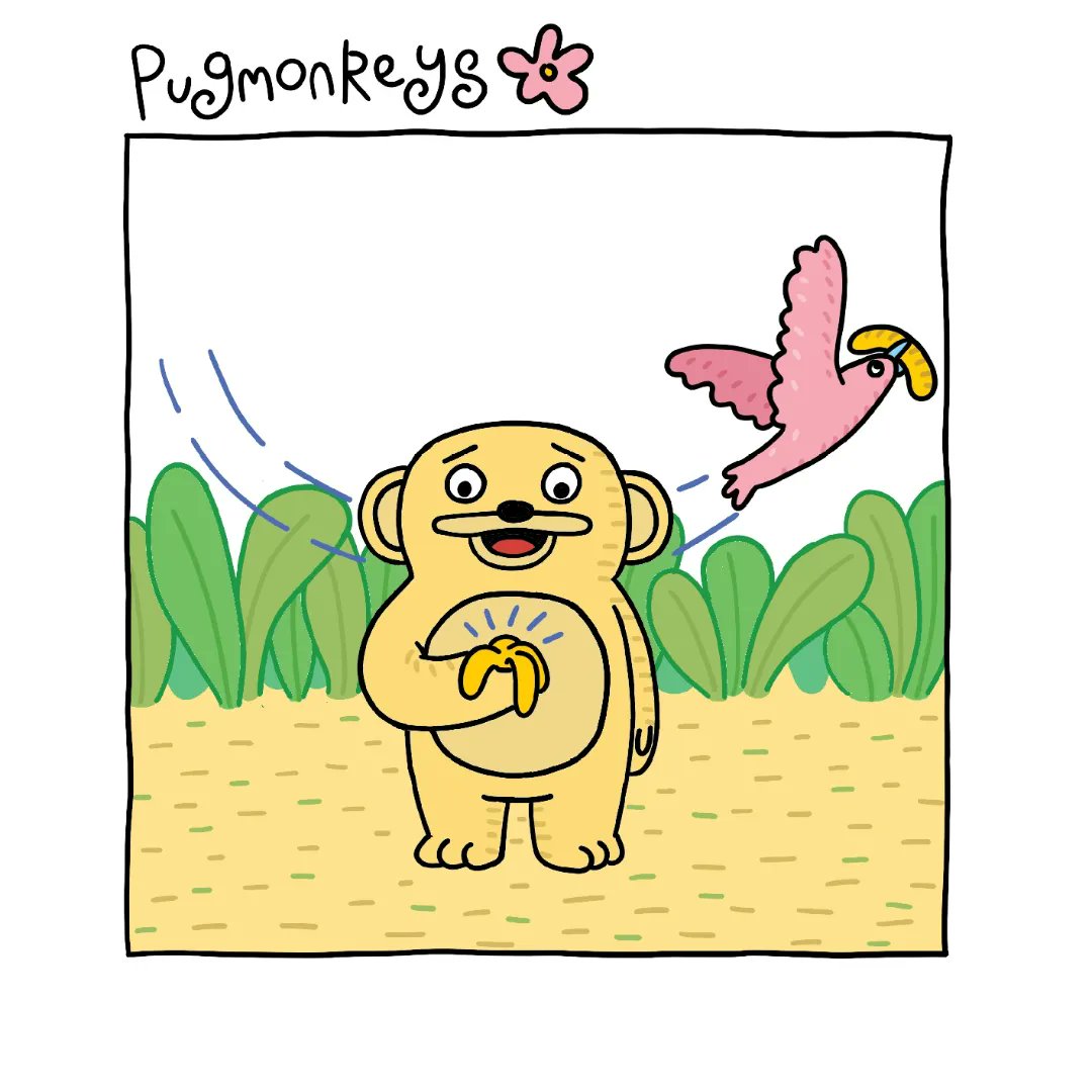 Pugmonkeys🌸 tweet media
