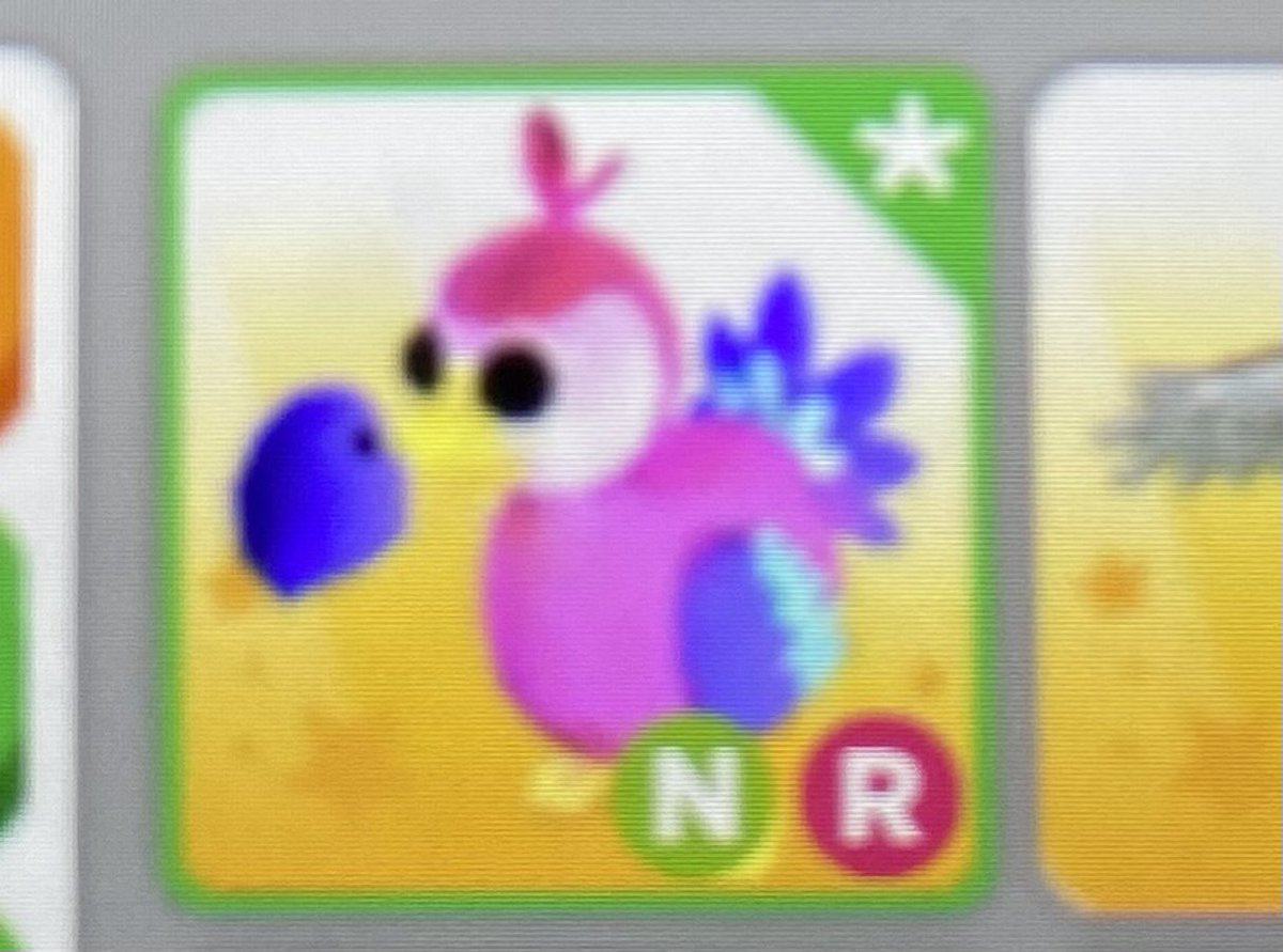 Amelizz_'s tweet photo. Trading NR Dodo for fly + ride potions. (I need them desperately lol.) #adoptmetrading #adoptme https://t.co/rPYeaTGfkj