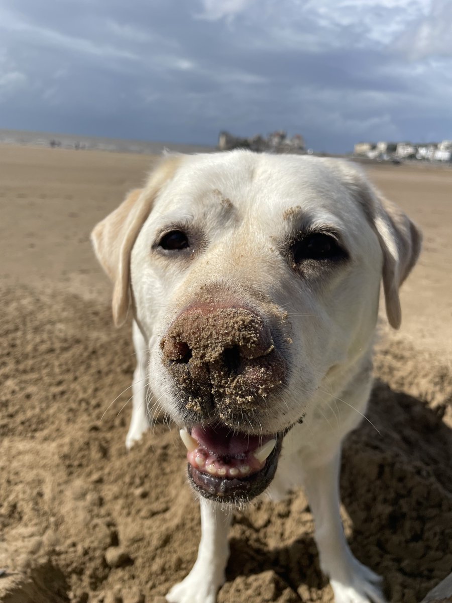 Dr Amit Patel tweet media