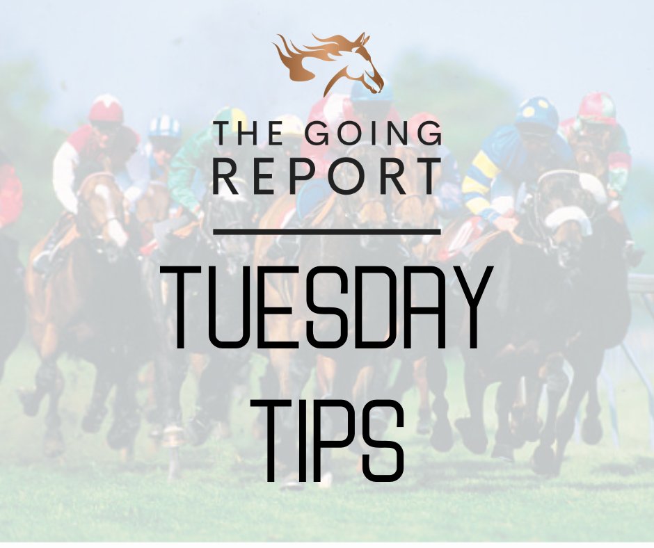 TheGoingReport's tweet photo. 🏇Tuesday Racing🏇

📍Yarmouth, Redcar, Uttoxeter &amp; Wolverhampton

⏰First Race: 1.35

Today's horse racing tips 👉https://t.co/vOvS3fRrRd

Today's free bets 👉 https://t.co/XHyT2WAY7y

Ad | T&amp;C’s Apply | 🔞 | https://t.co/n4eXTUosfN https://t.co/SufKDWBVxr