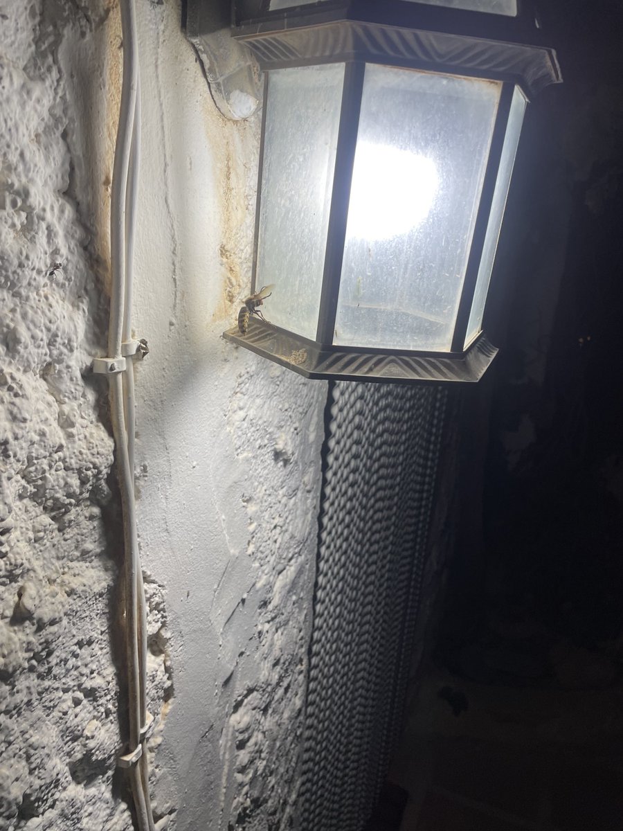 peet de leeuw (@010peet13) on Twitter photo 