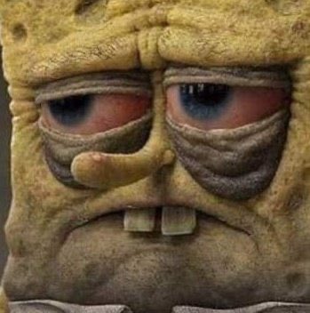 Macaiyla tweet media