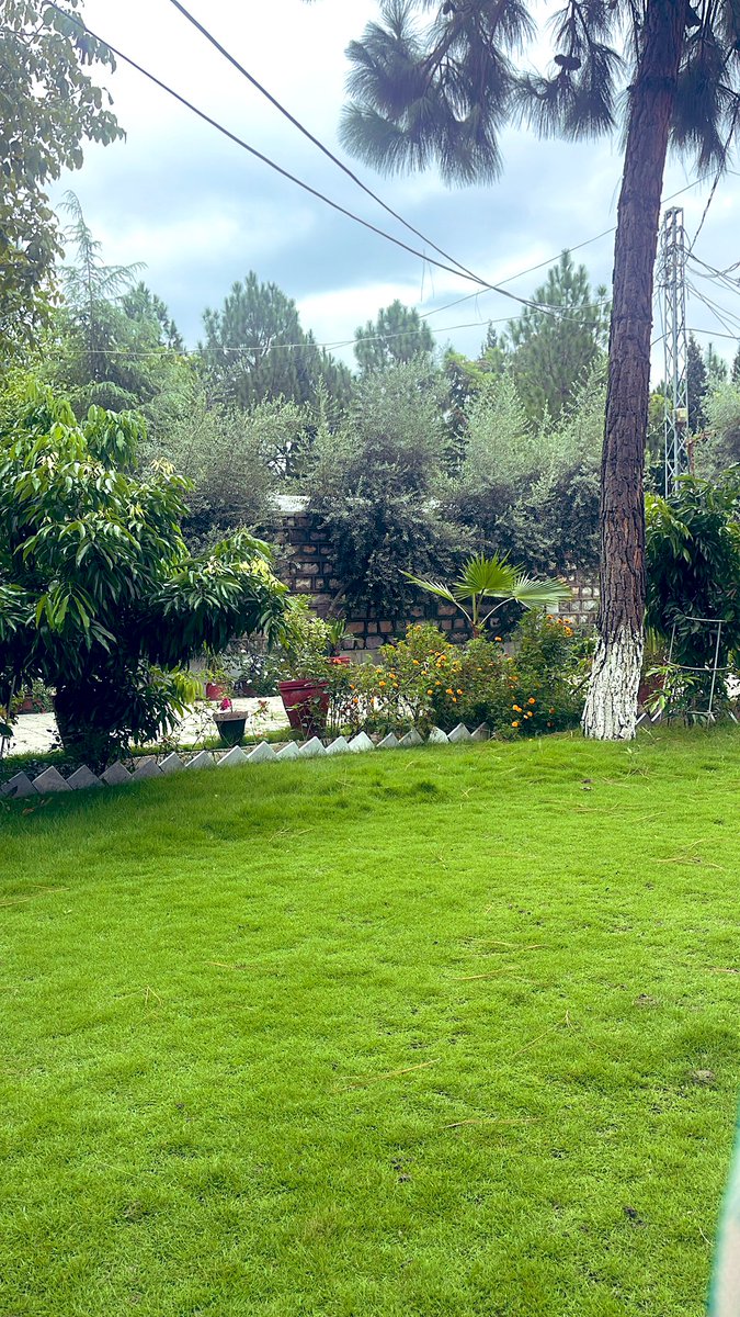 47_naseer's tweet photo. Green gable of Bajaur ❤️ https://t.co/tjWoSkJwRm