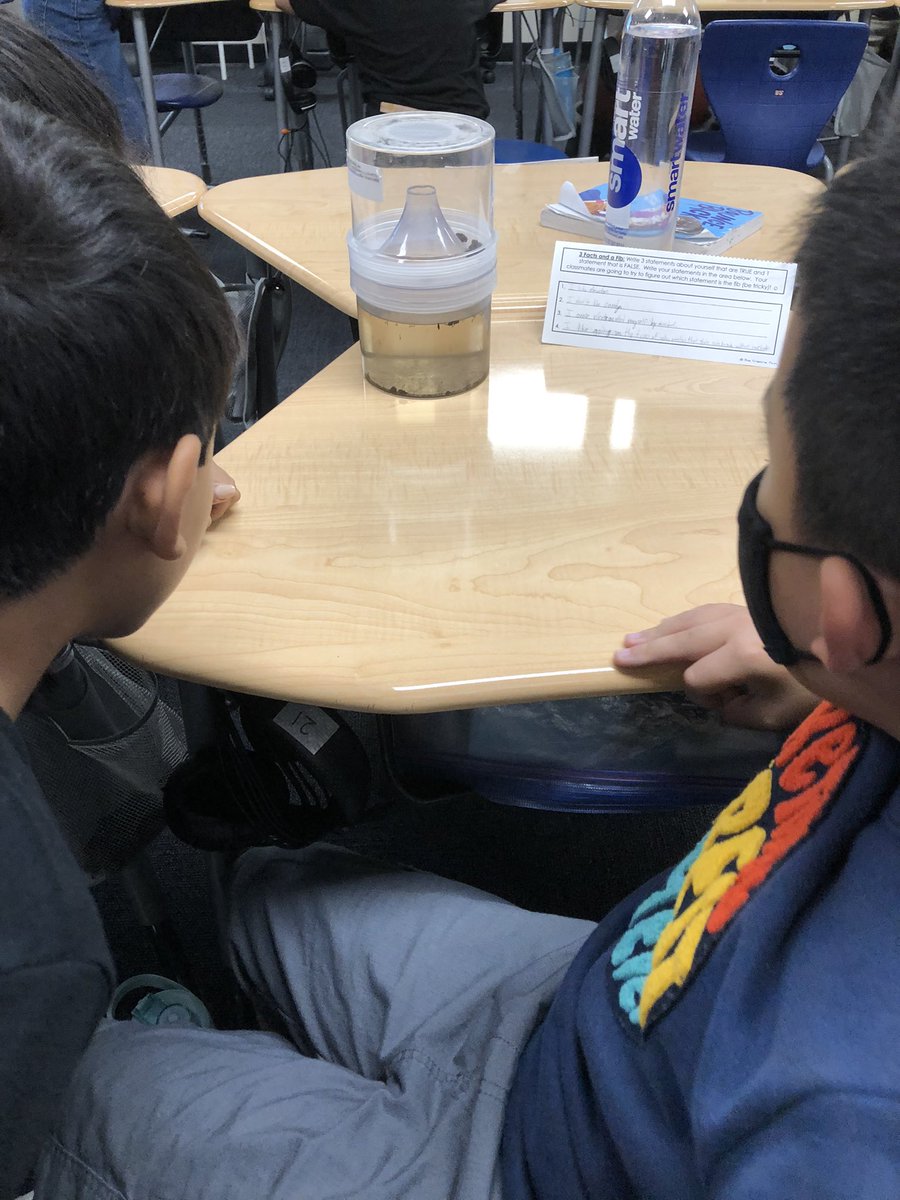 OCMosquitoLady's tweet photo. After two years of teaching on Zoom, I am back in the classroom! I’m having a blast at #MadisonElementary in #Anaheim. Fourth graders are loving observing larvae, pupae and adult mosquitoes! #mosquitoeducation #aesd https://t.co/aHWUgH5ik5