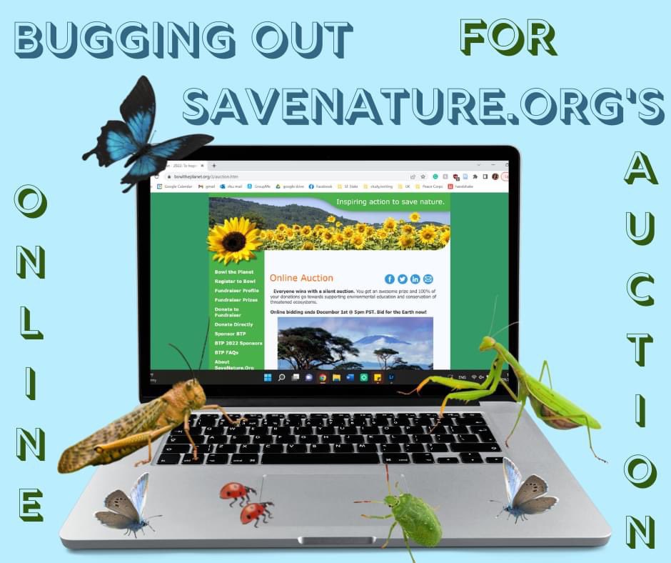 SaveNatureOrg's tweet photo. Don’t let the bugs snatch up all of the good items! Head over to https://t.co/rnBpcee7fN to see what we’ve got up for grabs!

All donations are tax-deductible. https://t.co/1jyw6CiN6O
