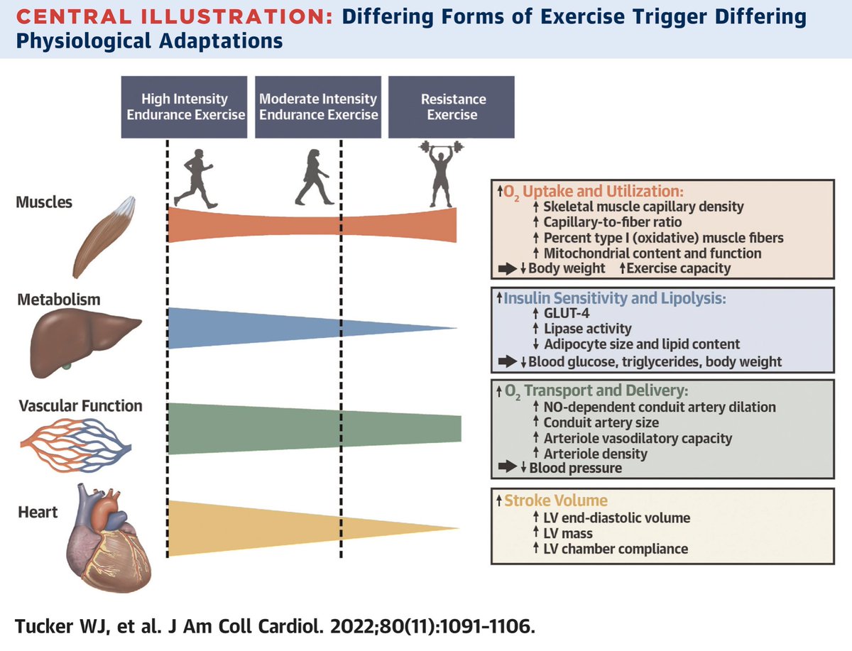 Dr. Prashant Rao tweet media