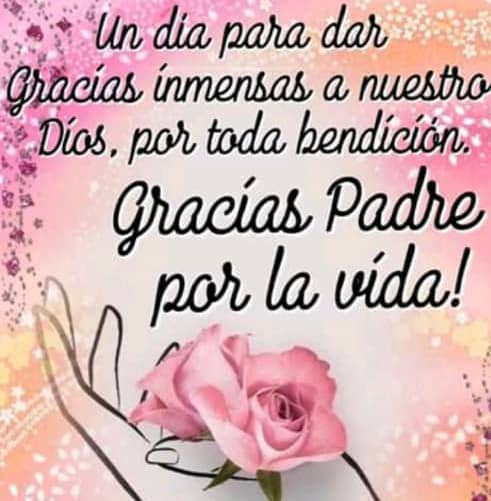xiomyml's tweet photo. Feliz inicio de semana a todos https://t.co/353Dwl6Bb1