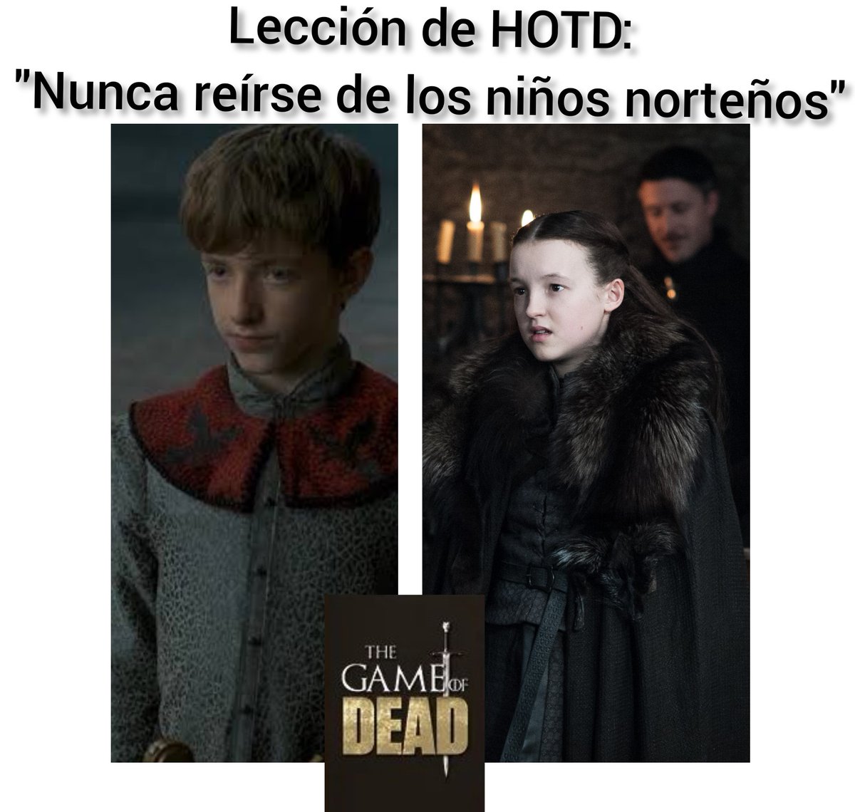 #houseofthedragon #houseblackwood #housemormont #HouseOfTheDragonHBO