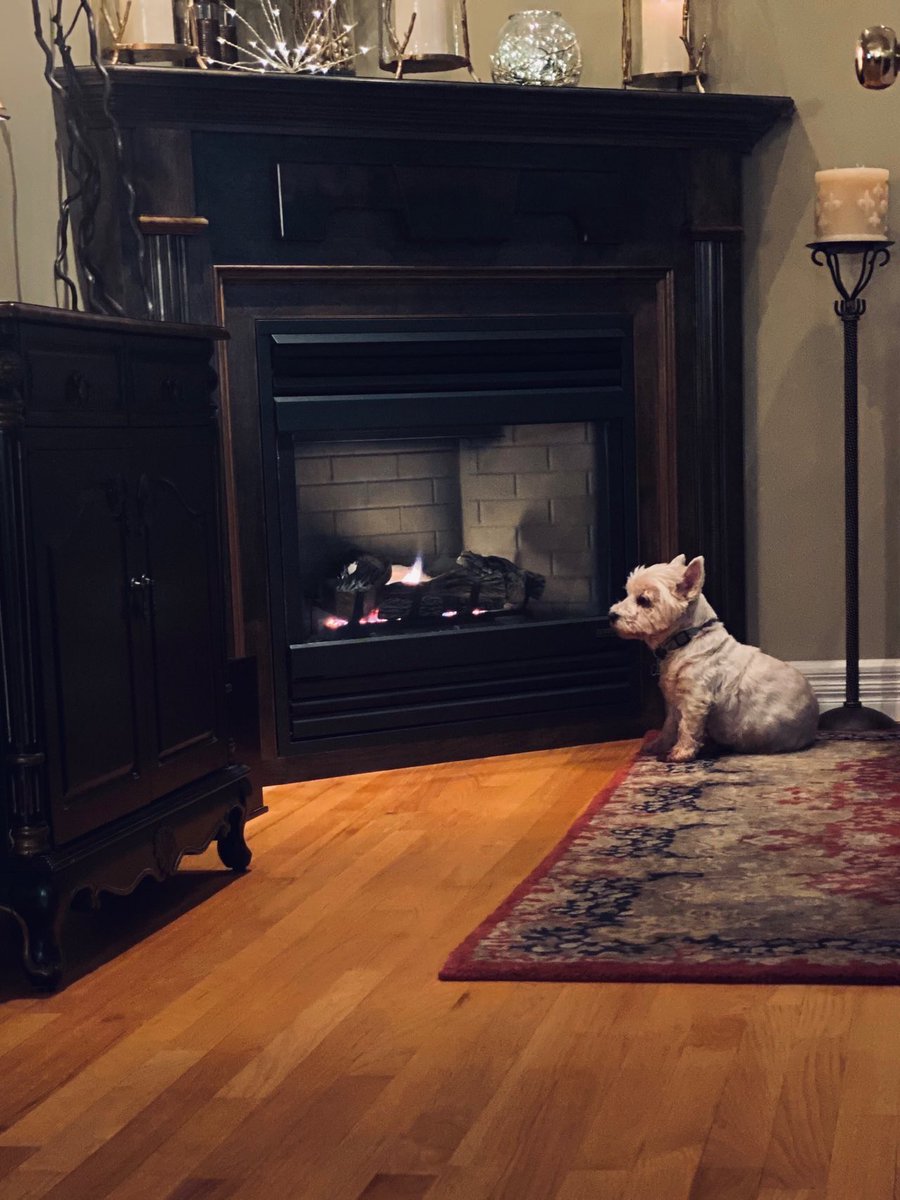 Lynn Burry tweet media