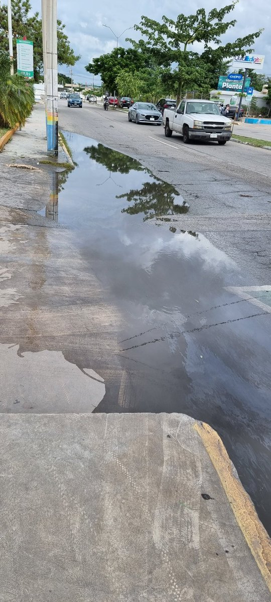 Sergio_PH's tweet photo. @AyuntaMerida Bt para reportar que no han venido a destapar la coladera, ya había levantado un reporte y quedaron en regresar a hacerlo y no lo hicieron, volví a levantar reporte y la persona que atiende contesta que "va a ver si pasan a arreglaro" Folio 1230183 1/2 https://t.co/PrLtEqQN6R