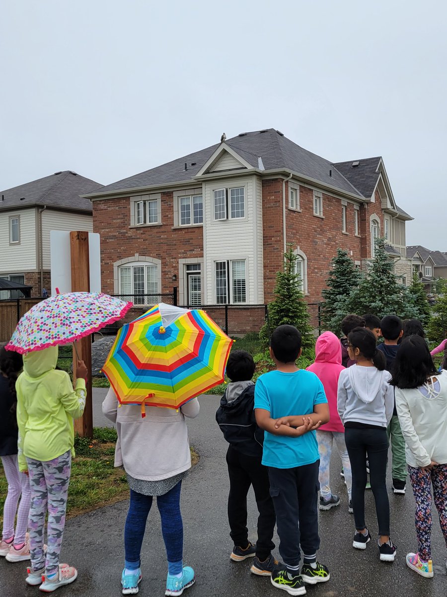 We had a great time building community with other Grade 3s this morning. Can anyone spot our newest 'friend'? <a href="/DesmondHDSB/">Viola Desmond Public School</a>