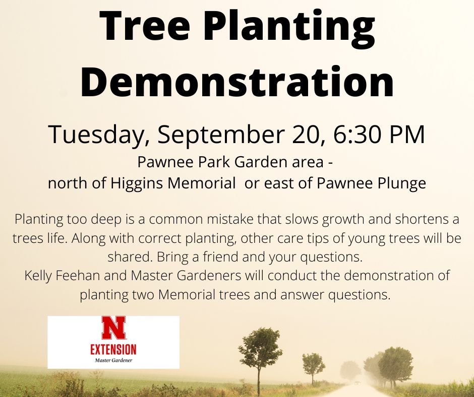KellyFeehan2's tweet photo. Shade tree canopy is critical for communities. Plan to attend this demo in Columbus NE https://t.co/t419BRnG6x
